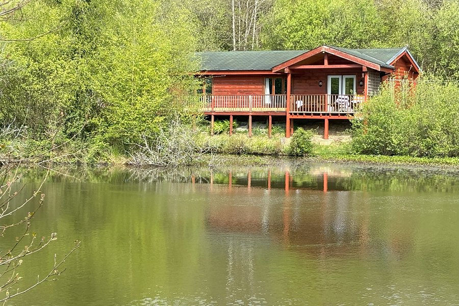 Heron Fishing Lodge in Devon